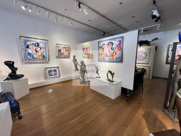 CANNES BANANE – DROIT AU BAIL – GALERIE D’ART