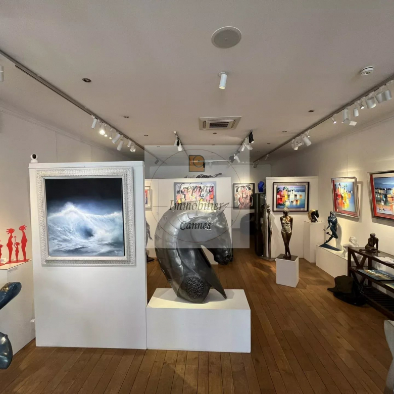 CANNES BANANE – DROIT AU BAIL – GALERIE D’ART