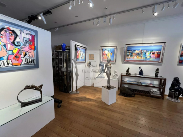 CANNES BANANE – DROIT AU BAIL – GALERIE D’ART